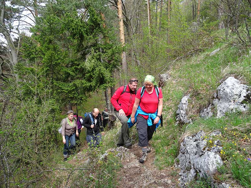 Steinwandklamm